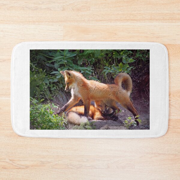 Item preview, Fox kits designed and sold by JuniperMT.