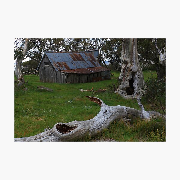 Item preview, Wallaces Hut designed and sold by Donovan Wilson.