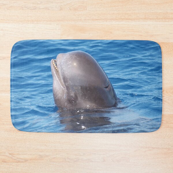 Item preview, Cute wild pilot whale baby  designed and sold by Chloé Yzoard.