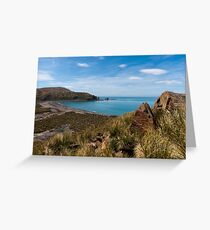 Gold Harbour Greeting Card