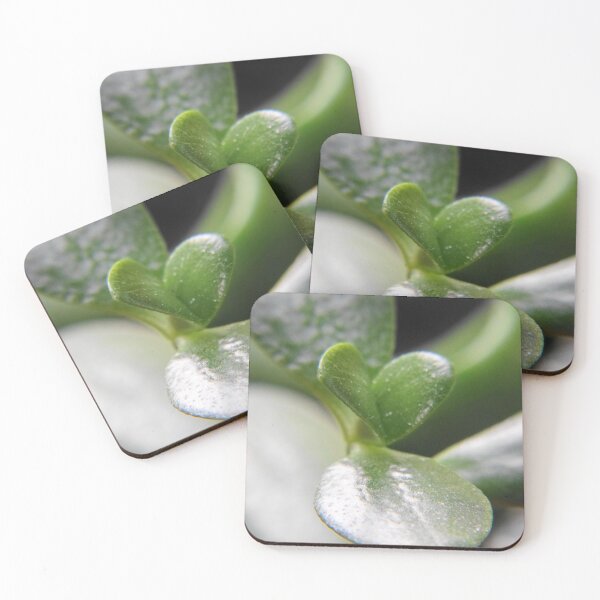 Item preview, Green jade plant with macro lens designed and sold by Purple Fern Art.