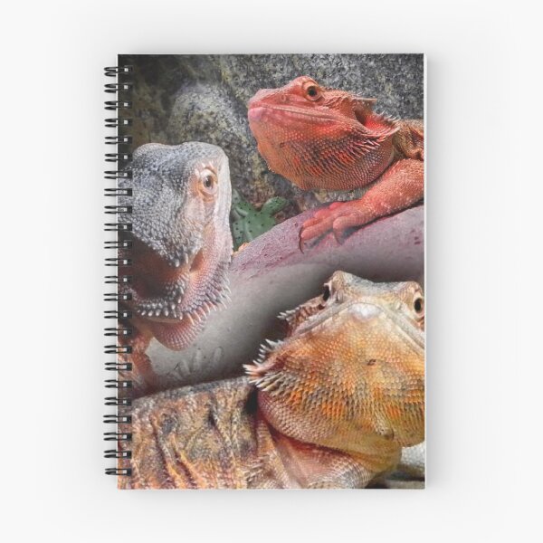 Item preview, Bearded Dragon designed and sold by Liz Anderson.