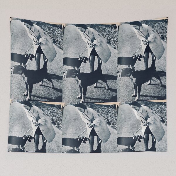 Item preview, Lady Bird with dogs designed and sold by Jenniferkate72.