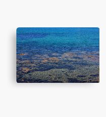Sea abstract, Tasman Peninsula, Tasmania Canvas Print
