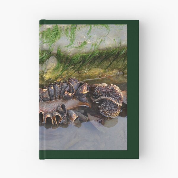 Item preview, Monster of the  Sea.......... designed and sold by lynn carter.
