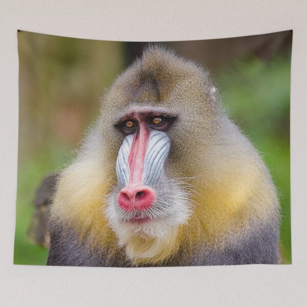 Item preview, Mandrill 013 designed and sold by JAMFoto.