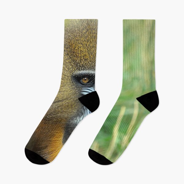 Item preview, Mandrill 002 designed and sold by JAMFoto.