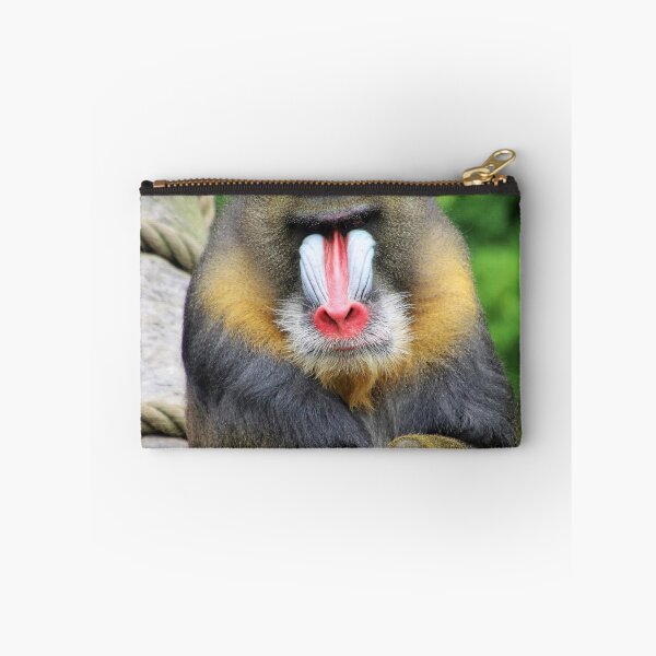Item preview, Mandrill 001 designed and sold by JAMFoto.