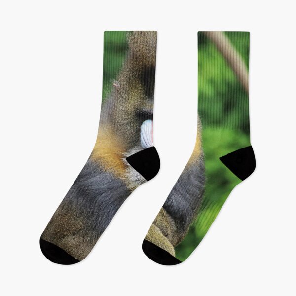 Item preview, Mandrill 001 designed and sold by JAMFoto.