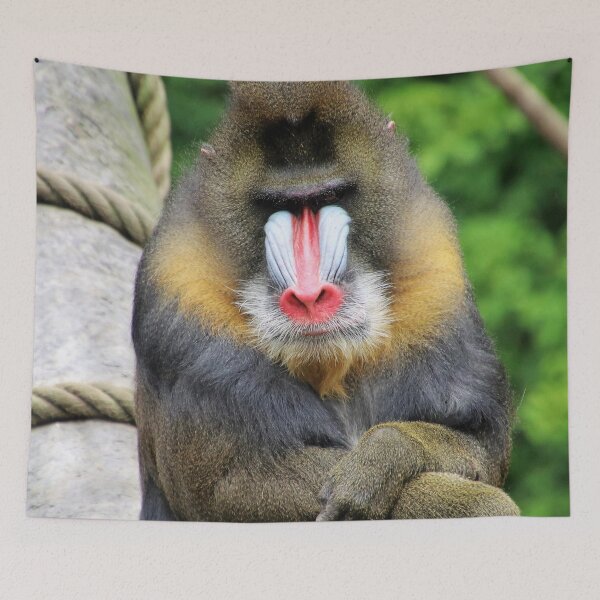 Item preview, Mandrill 001 designed and sold by JAMFoto.