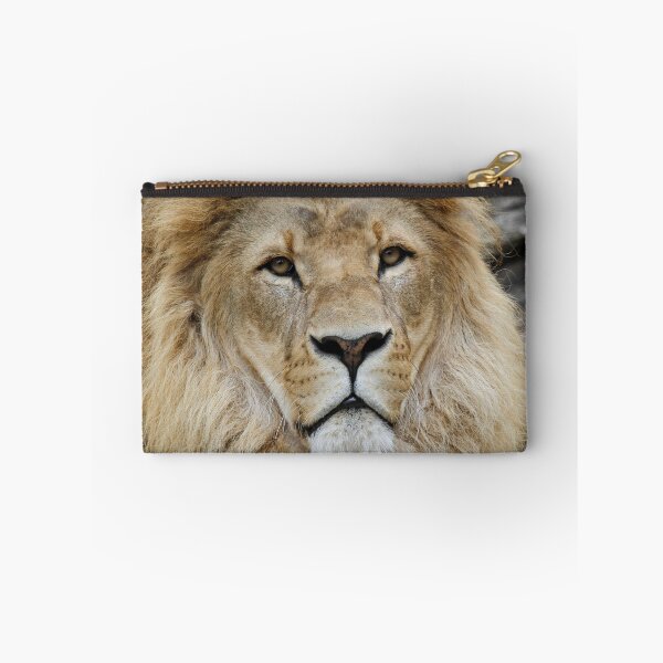 Item preview, Lion 042 designed and sold by JAMFoto.