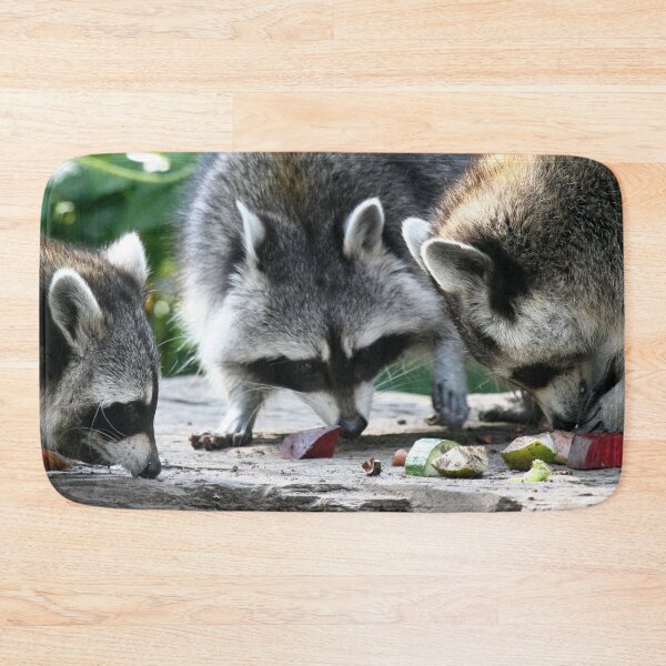 Item preview, Raccoon 002 designed and sold by JAMFoto.
