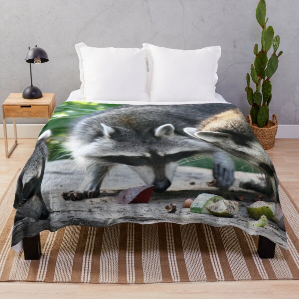 Item preview, Raccoon 002 designed and sold by JAMFoto.