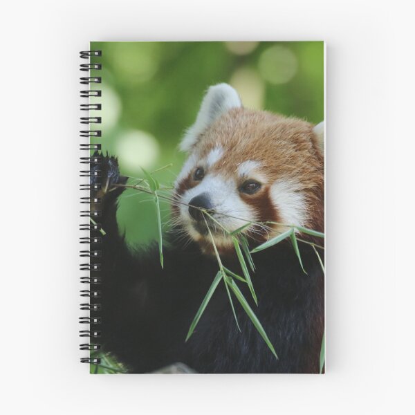 Item preview, Red Panda 002 designed and sold by JAMFoto.