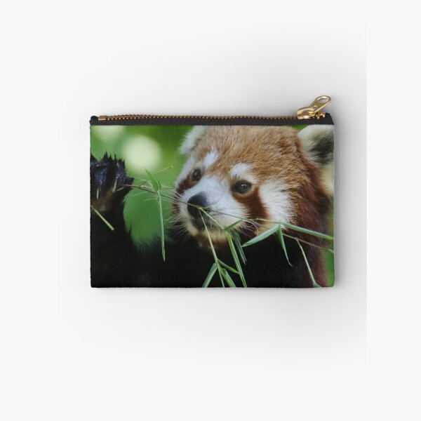Item preview, Red Panda 002 designed and sold by JAMFoto.