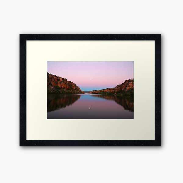 Framed Print