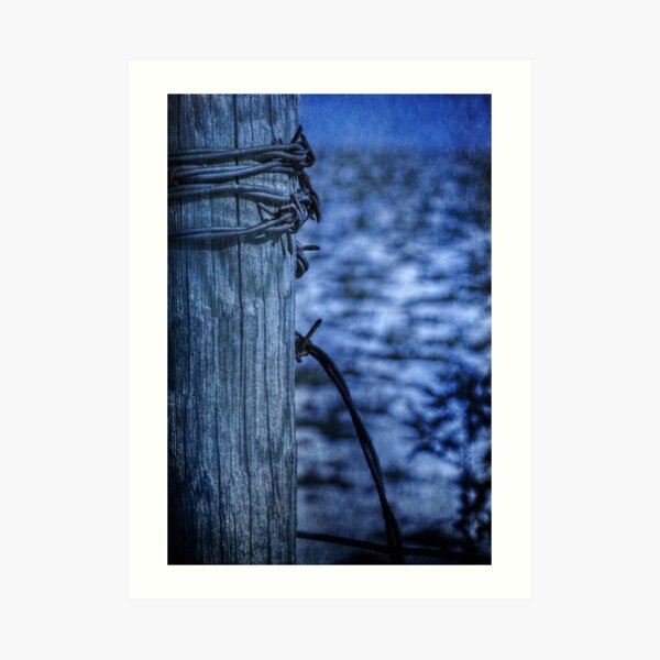 Barbed Wire in Blue Art Print