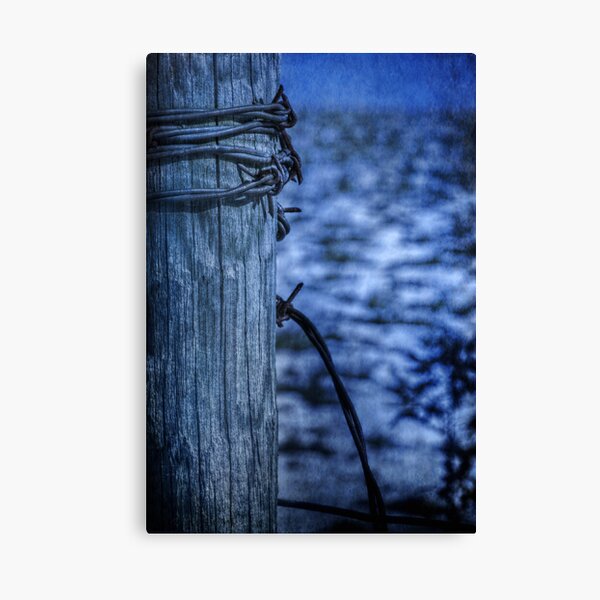 Barbed Wire in Blue Canvas Print