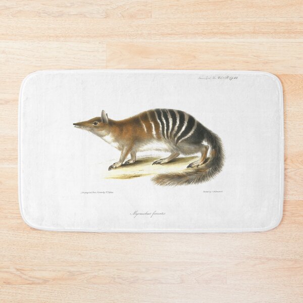 Item preview, Numbat, striped anteater, endangered species 1800 designed and sold by simpson92.