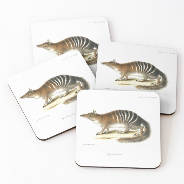 Item preview, Numbat, striped anteater, endangered species 1800 designed and sold by simpson92.