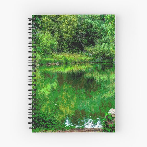 Item preview, A pond near Cloudcroft, New Mexico designed and sold by William E Lopez.