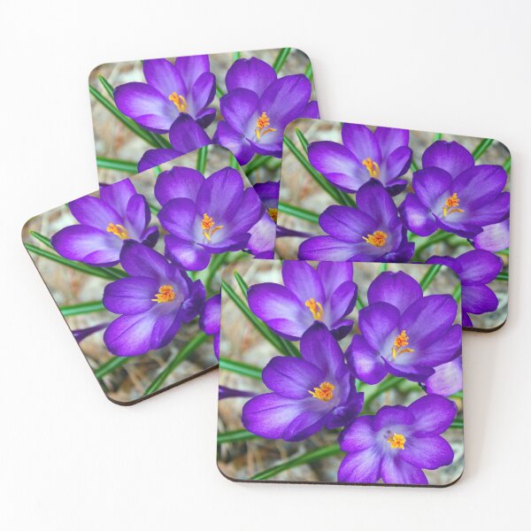 Item preview, Crocuses, the First Sign of Spring designed and sold by JuniperMT.