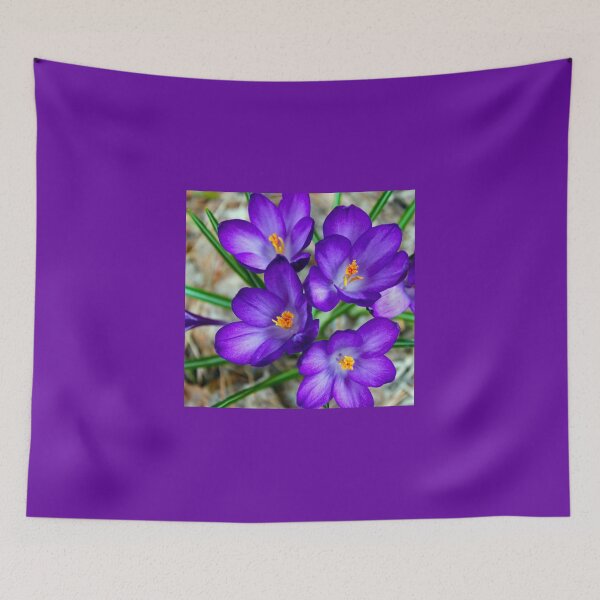 Item preview, Crocuses, the First Sign of Spring designed and sold by JuniperMT.