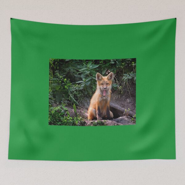 Item preview, Yawning Fox Kit designed and sold by JuniperMT.