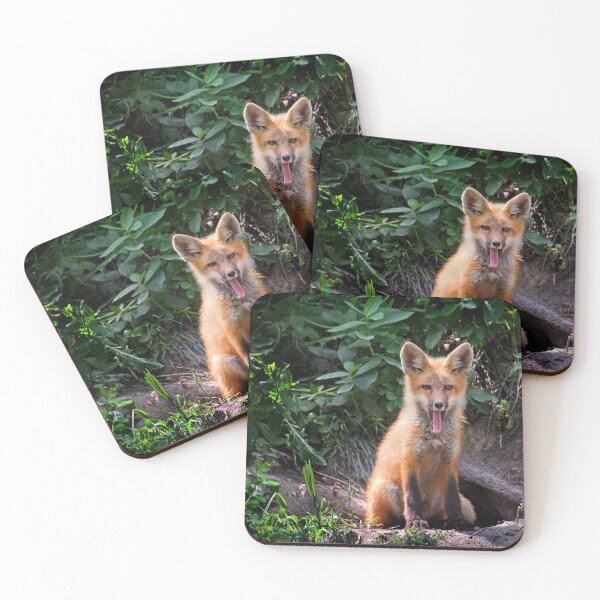 Item preview, Yawning Fox Kit designed and sold by JuniperMT.