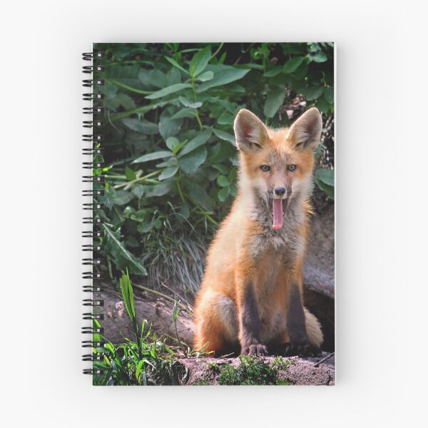 Item preview, Yawning Fox Kit designed and sold by JuniperMT.