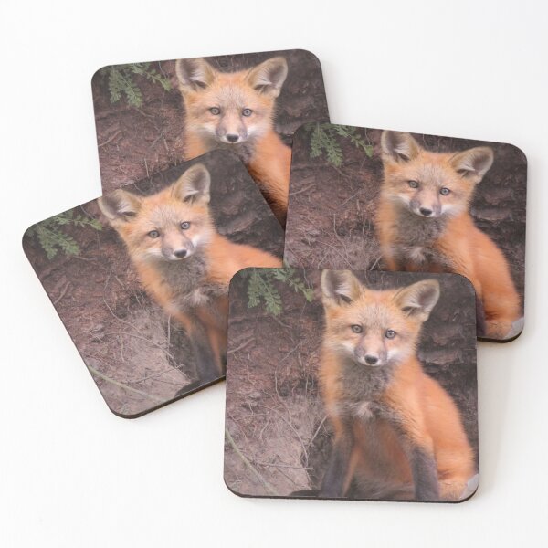 Item preview, Fox Kit Portrait designed and sold by JuniperMT.