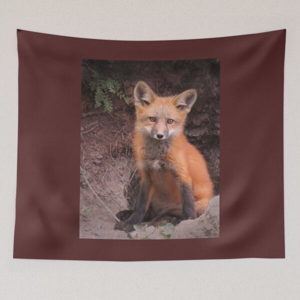 Item preview, Fox Kit Portrait designed and sold by JuniperMT.