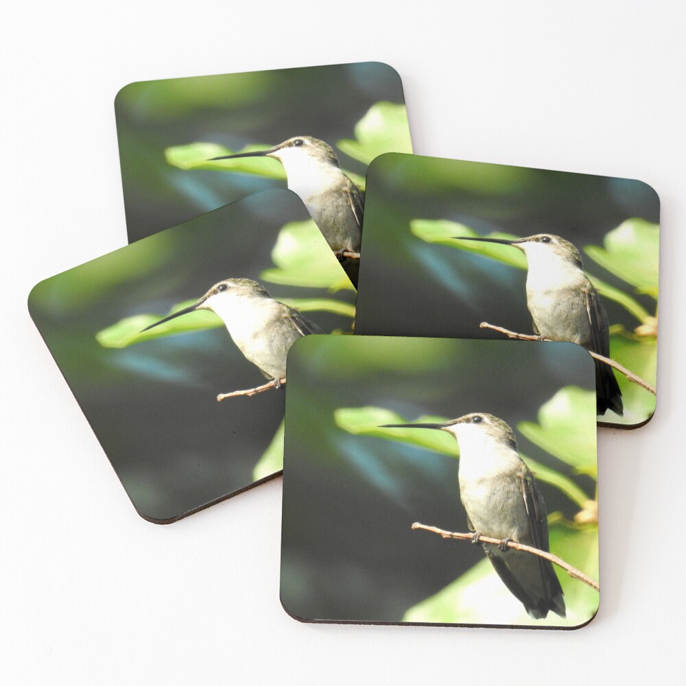 Item preview, Coasters (Set of 4) designed and sold by Barnbk02.