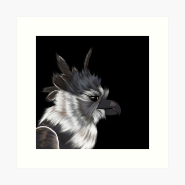 Harpy Eagle Giclée Art Print By Ben Rothery Illustrator