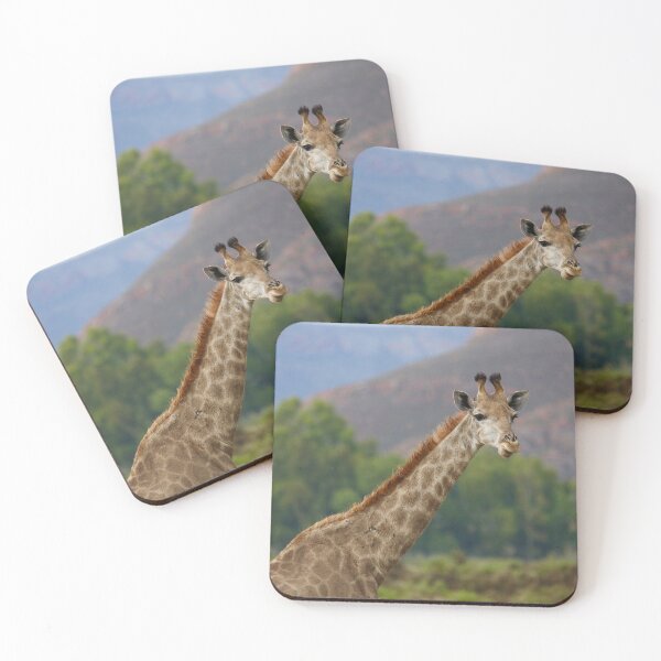 Item preview, South Africa - Aquila - graceful giraffe designed and sold by renprovo.