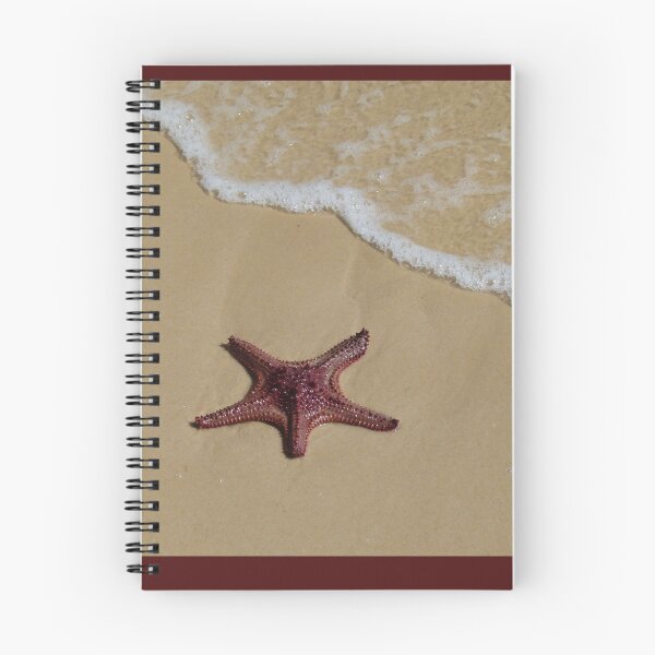 Item preview, Starfish, Moreton Island QLD Australia designed and sold by Narelle Richardson.