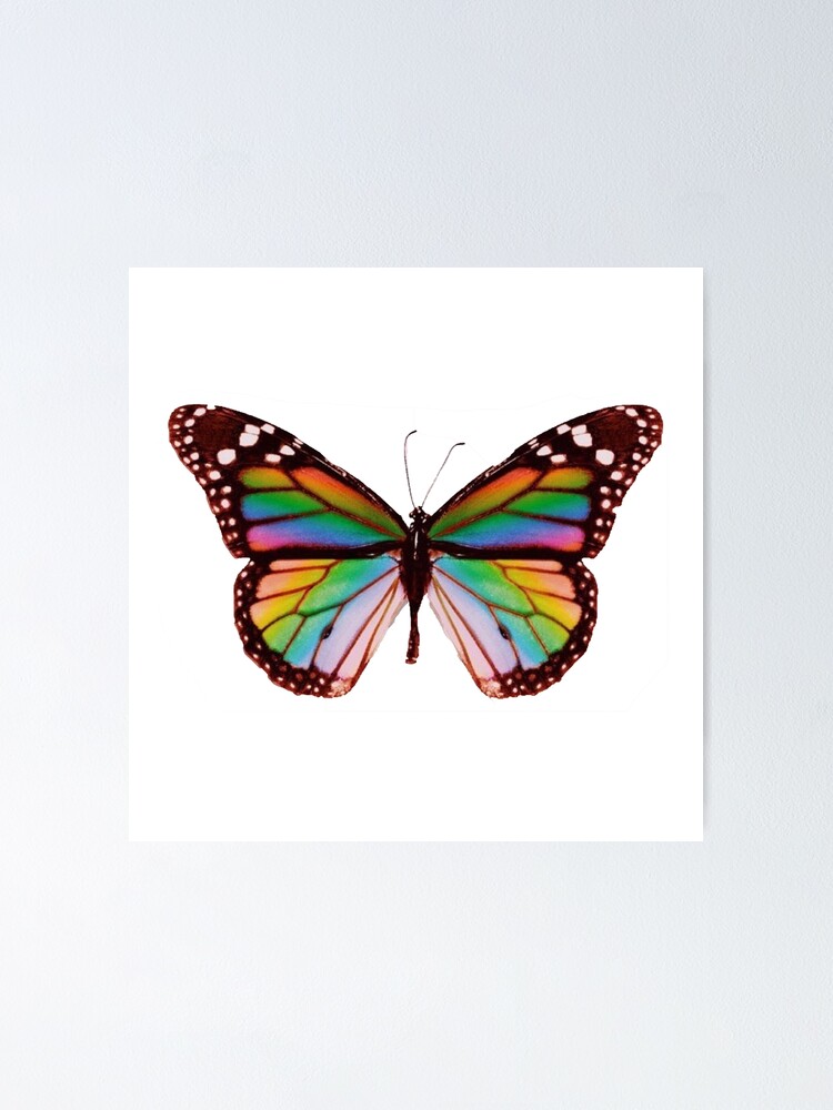 Playboi Carti Rainbow Butterfly Poster for Sale by redheroes