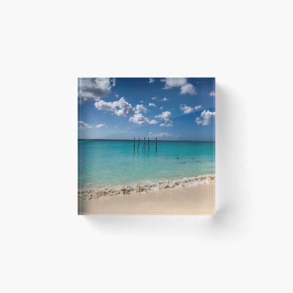 Item preview, Aruba - Oranjestad - Eagle Beack - brown pelicans designed and sold by renprovo.
