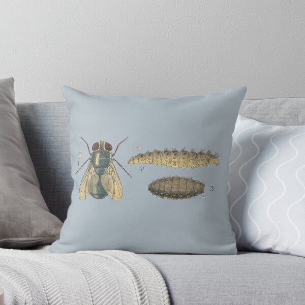 Item preview, Sheep Wool Blowflies, Hairy maggot fly (Chrysomya rufifacies) designed and sold by BiosecurityColl.