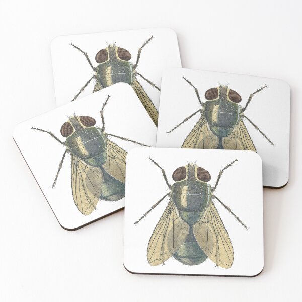 Item preview, Sheep Wool Blowflies, Hairy maggot fly (Chrysomya rufifacies) Adult designed and sold by BiosecurityColl.