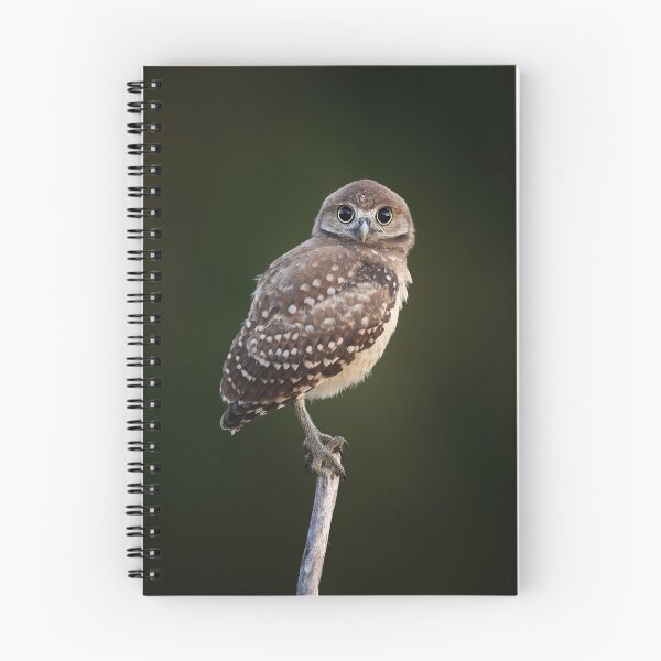 Item preview, Owlet designed and sold by mlorenz.