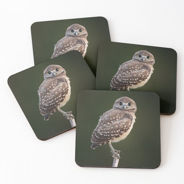 Item preview, Owlet designed and sold by mlorenz.