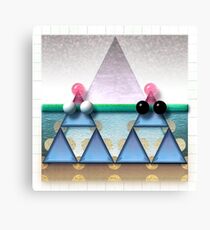 047 Canvas Print