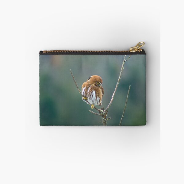 Item preview, sbs pygmy owl designed and sold by pcfyi.