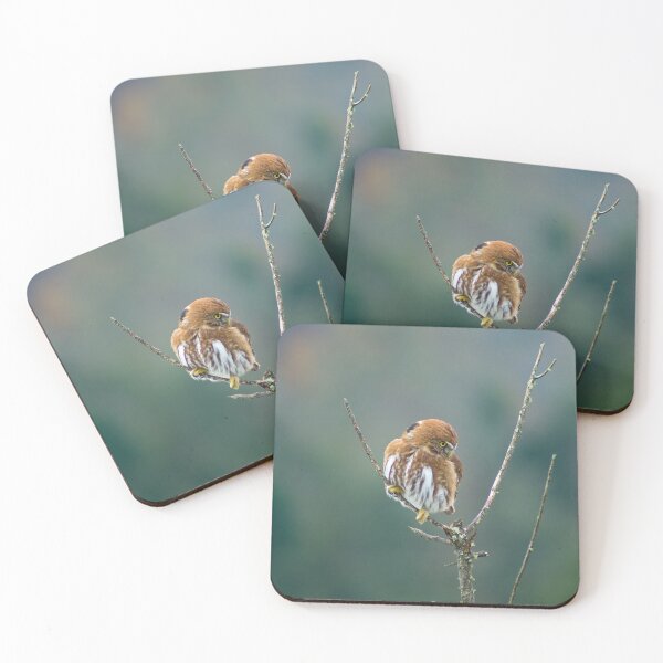 Item preview, sbs pygmy owl designed and sold by pcfyi.