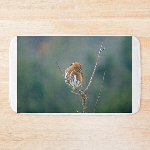 Item preview, sbs pygmy owl designed and sold by pcfyi.