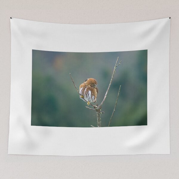 Item preview, sbs pygmy owl designed and sold by pcfyi.