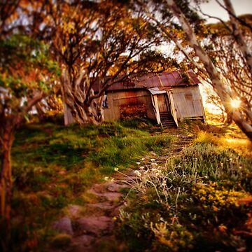 Artwork thumbnail, Copes Hut by GlenJohnson