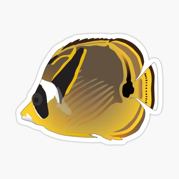 Sticker Falterfisch Redbubble