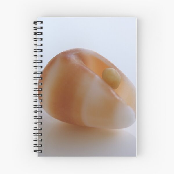 Item preview, Shell designed and sold by Jo  Young.